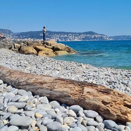 Apartment Le Nid Blanc Centre